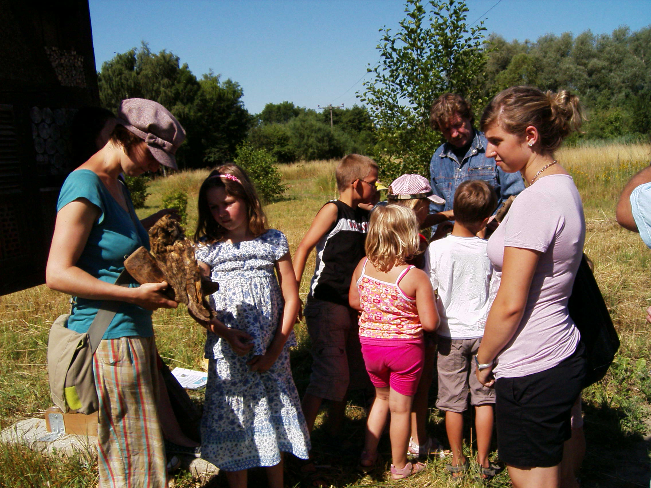 bild6